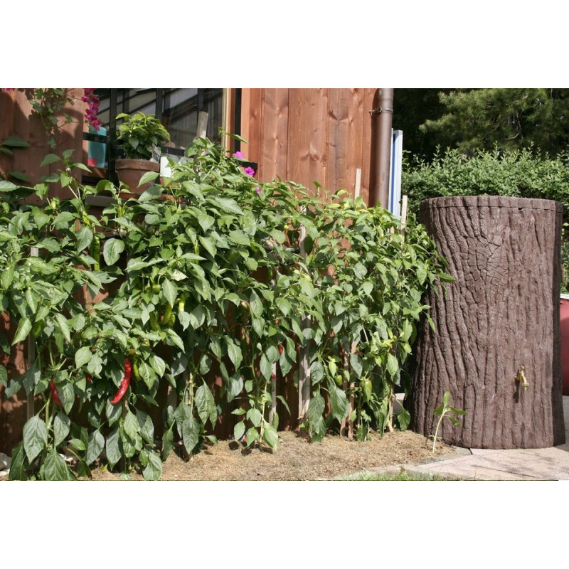 Zbiornik Evergreen 475 litrów